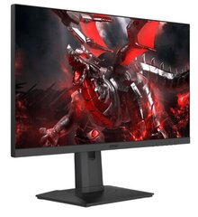 MSI Optix G253PF cena un informācija | Monitori | 220.lv