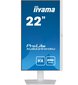 Iiyama ProLite XUB2294HSU-W2 цена и информация | Monitori | 220.lv