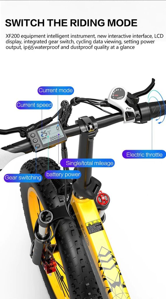 Elektriskais velosipēds BEZIOR XF200, melns/zils, 1000W, 15Ah cena un informācija | Elektrovelosipēdi | 220.lv