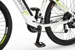 Elektriskais velosipēds Ecobike SX3 14,5 Ah Greenway, balts цена и информация | Elektrovelosipēdi | 220.lv