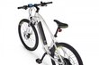 Elektriskais velosipēds Ecobike SX3 14,5 Ah Greenway, balts cena un informācija | Elektrovelosipēdi | 220.lv