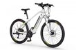 Elektriskais velosipēds Ecobike SX3 14,5 Ah Greenway, balts cena un informācija | Elektrovelosipēdi | 220.lv