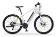 Elektriskais velosipēds Ecobike SX3 14,5 Ah Greenway, balts цена и информация | Elektrovelosipēdi | 220.lv