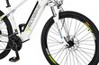 Elektriskais velosipēds Ecobike SX3 14,5 Ah Greenway, balts цена и информация | Elektrovelosipēdi | 220.lv