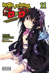 High School DxD, Vol. 11 (light novel) cena un informācija | Fantāzija, fantastikas grāmatas | 220.lv