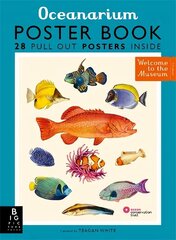 Oceanarium Poster Book цена и информация | Книги для подростков и молодежи | 220.lv