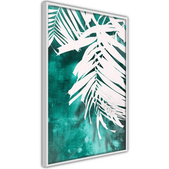 Plakāts White Palm on Teal Background, balts rāmis, 20x30 cm цена и информация | Картины | 220.lv