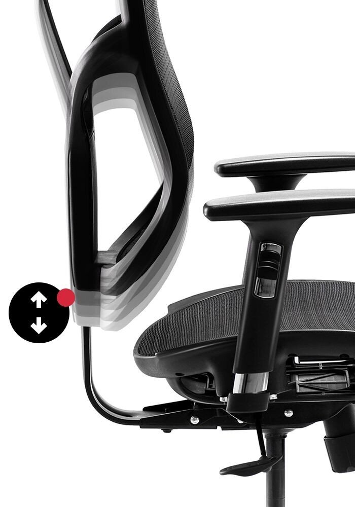 DIABLO V-BASIC ergonomisks krēsls (melns) цена и информация | Biroja krēsli | 220.lv
