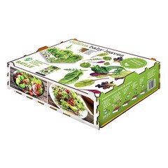 Audzēšanas komplekts Batlle Baby Leaves Salāti 40 x 29 x 10,5 cm 2,6 Kg cena un informācija | Materiāli floristikai | 220.lv