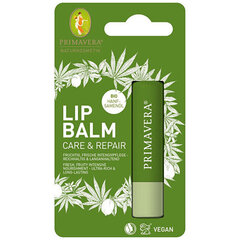 Atjaunojošs balzams sausām lūpām Care & Repair (Lūpu balzams) 4,6 g cena un informācija | Lūpu krāsas, balzāmi, spīdumi, vazelīns | 220.lv