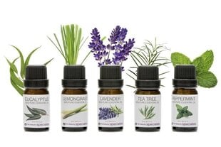 Набор эфирных масел Rio Aromatherapy Oil Collection, 5 x 10 мл цена и информация | Эфирные, косметические масла, гидролаты | 220.lv