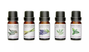 Ēterisko eļļu komplekts Rio Aromatherapy Oil Collection, 5 x 10 ml cena un informācija | Ēteriskās eļļas, kosmētiskās eļļas, hidrolāti | 220.lv