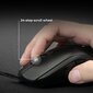 Zowie pele FK1+-C цена и информация | Peles | 220.lv