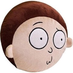 Rick and Morty Morty's Face Pillow cena un informācija | Datorspēļu suvenīri | 220.lv