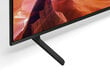 Sony KD65X80LAEP цена и информация | Televizori | 220.lv