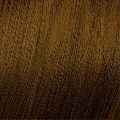 Краска для волос Mood Color Cream 5.3 Light Golden Brown, 100 мл. цена и информация | Краска для волос | 220.lv