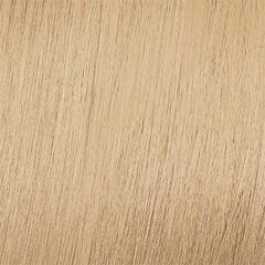 Краска для волос Mood Color Cream 10 Platinum Blonde, 100 мл. цена и информация | Краска для волос | 220.lv