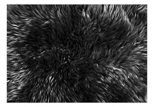 Фотообои с инструментом и клеем - Уютный черный интерьер, 400x280 см цена и информация | Фотообои | 220.lv