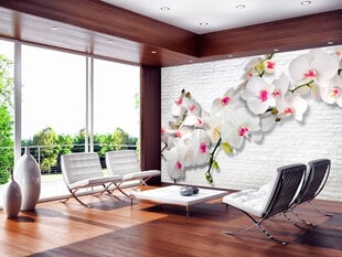 Fototapetes ar instrumentu un tapešu līmi - Orhideju pilna siena, 400x280 cm cena un informācija | Fototapetes | 220.lv