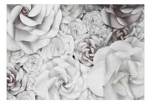 Фотообои с инструментом и клеем - Розы (черно-белая версия), 400x280 см цена и информация | Фотообои | 220.lv