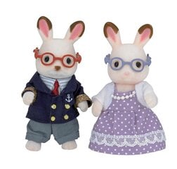 Vectēva un vecmāmiņas figūriņu komplekts Sylvanian Families цена и информация | Конструктор автомобилей игрушки для мальчиков | 220.lv