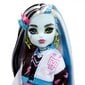 Lelle ar piederumu komplektu Monster High Core Frankie цена и информация | Rotaļlietas meitenēm | 220.lv