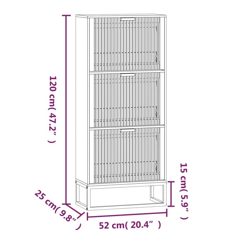 vidaXL apavu plaukts, 52x25x120 cm, inženierijas koks cena un informācija | Apavu skapji, apavu plaukti, priekšnama soliņi | 220.lv