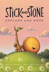 Stick and Stone Explore and More цена и информация | Книги для подростков и молодежи | 220.lv