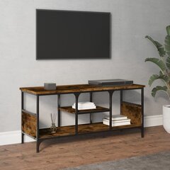 vidaXL TV skapītis, 100x35x45 cm, inženierijas koks, dzelzs, ozolkoka cena un informācija | TV galdiņi | 220.lv