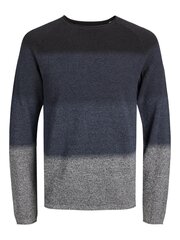 Jack & Jones vīriešu pulovers 12157321*03, tumši zils 5715311444423 cena un informācija | Vīriešu džemperi | 220.lv