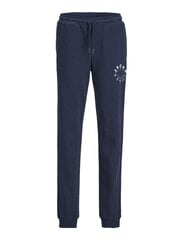 Детские спортивные штаны Jack & Jones 12243445*01, тёмно-синие, 5715432607158 цена и информация | Штаны для мальчика ABN-2894/CZA/098 | 220.lv