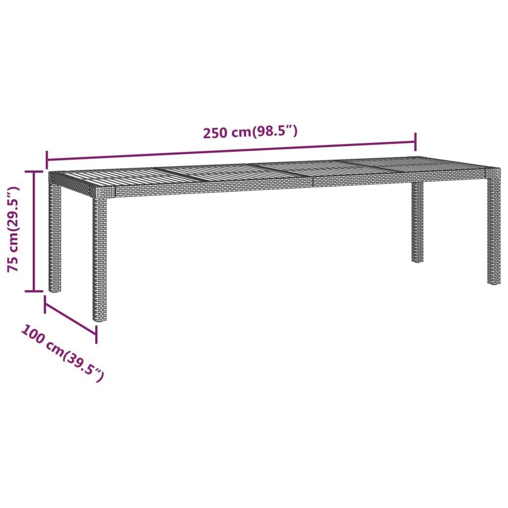 vidaXL dārza galds, pelēks, 250x100x75 cm, polietilēna rotangpalma cena un informācija | Dārza galdi | 220.lv