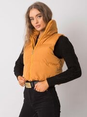 Veste sievietēm, tumši dzeltena цена и информация | Женские жилеты | 220.lv