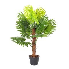 Zaļš augs FAN PALM, H100cm cena un informācija | Mākslīgie ziedi | 220.lv