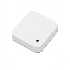 Сенсор с WIFI Feelspot FS-LBS02W 0-30000 LUX, Tuya цена и информация | Системы безопасности, контроллеры | 220.lv