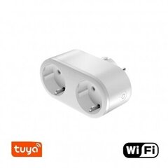 Умная розетка Feelspot FS-ST02WE 2in1 WiFi, Tuya цена и информация | Электрические выключатели, розетки | 220.lv