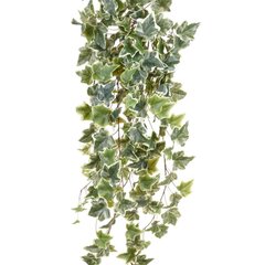 Emerald mākslīga nokarenā efeja, 100 cm, divu toņu zaļa, 11.960 cena un informācija | Mākslīgie ziedi | 220.lv