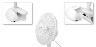 Stāv ventilators DOMOTEC MS-1623 цена и информация | Вентиляторы | 220.lv