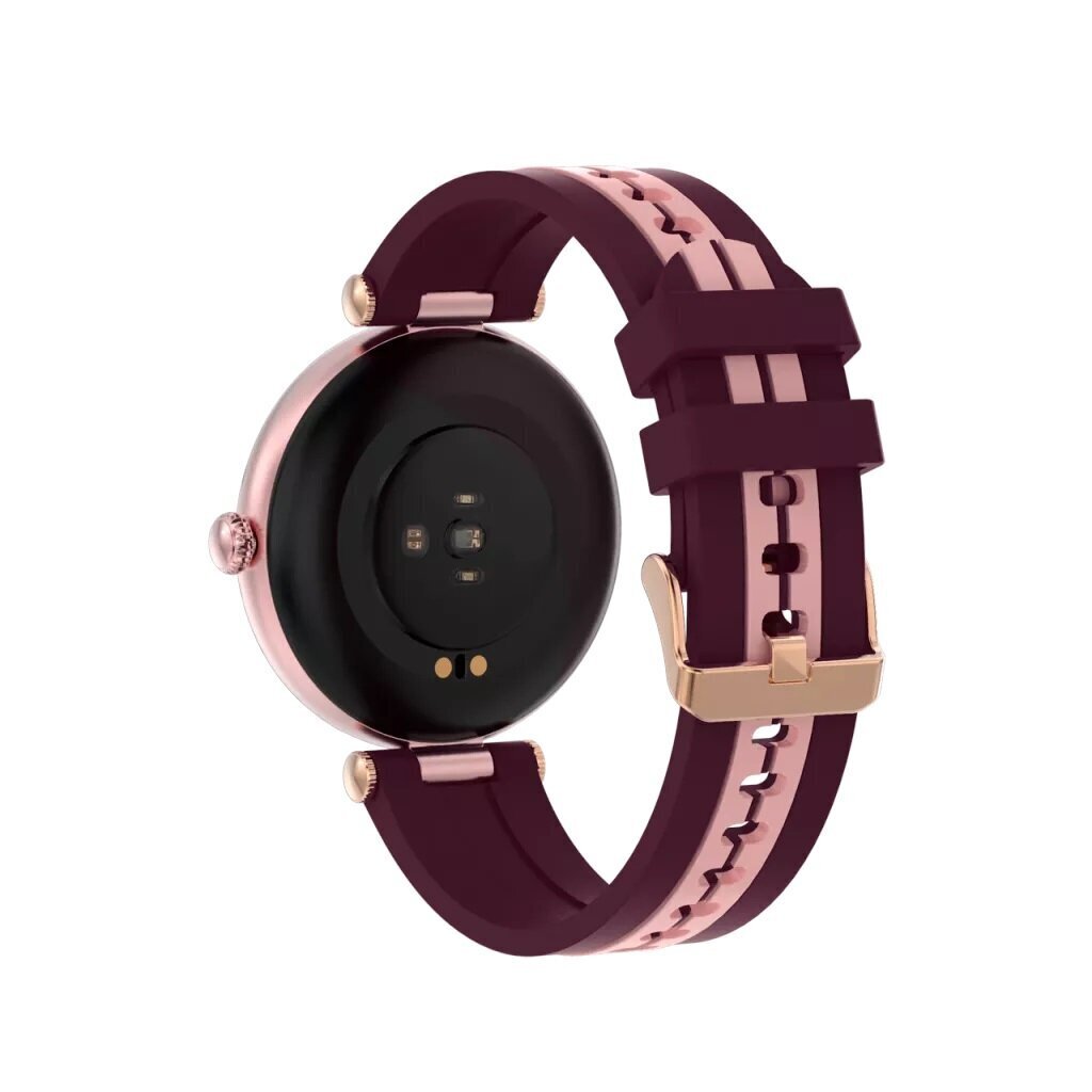 Canyon Semifreddo SW-61 Rose Gold cena un informācija | Viedpulksteņi (smartwatch) | 220.lv