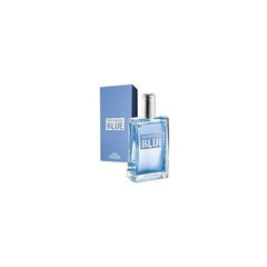 Avon Tualetes ūdens Individual Blue For Him, 100 ml cena un informācija | Vīriešu smaržas | 220.lv
