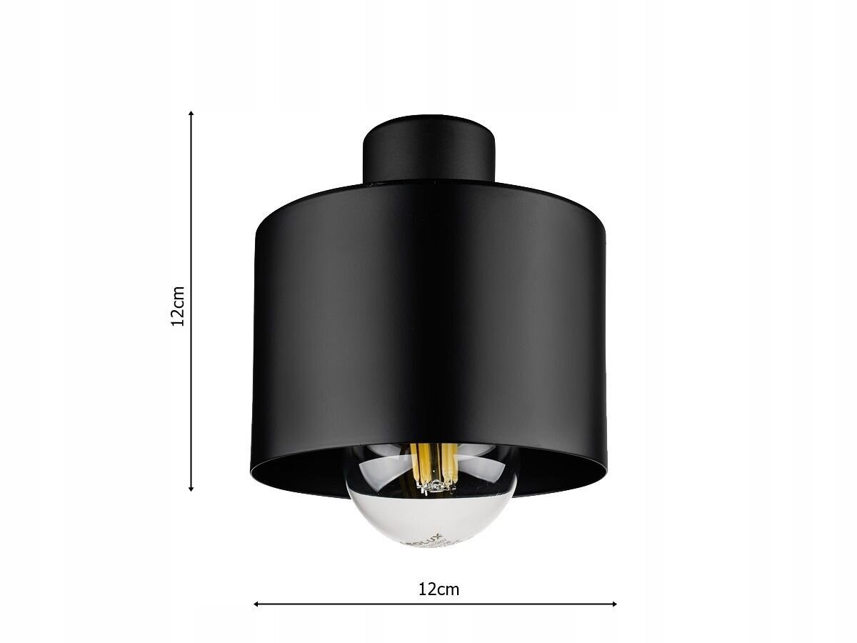 Ledlux griestu lampa E27 cena un informācija | Griestu lampas | 220.lv