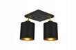 Griestu lampa Ledlux, melna cena un informācija | Griestu lampas | 220.lv