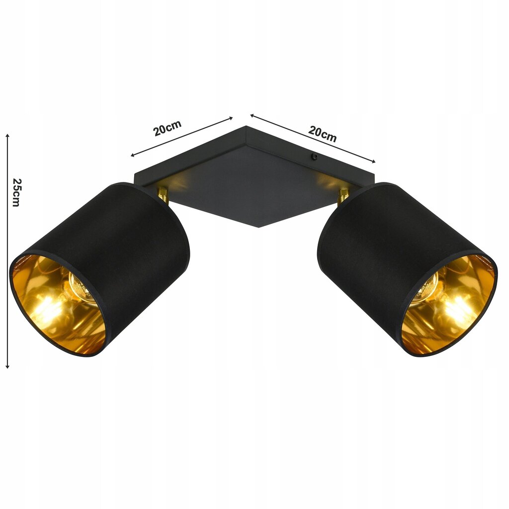 Griestu lampa Ledlux, melna cena un informācija | Griestu lampas | 220.lv