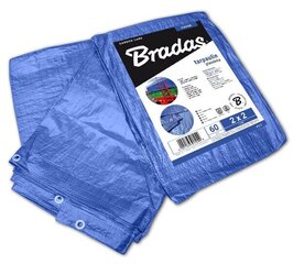 Pastiprināts brezents Bradas Blue, 2 x 2 m, 60 g/m² цена и информация | Садовые инструменты | 220.lv