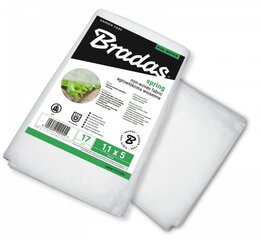 Agroplēve pret salu Bradas Spring, 17 g/m², 1,6 x 10 m, balta cena un informācija | Dārza instrumenti | 220.lv