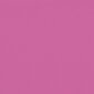 vidaXL dārza sola matrači, 2 gab., 120x50x7 cm, audums, rozā cena un informācija | Krēslu paliktņi | 220.lv