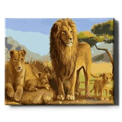 Glezna pēc cipariem Ierāmēta "Āfrikas lauvas" Oh Art! 40x50 cm cena un informācija | Gleznas pēc numuriem | 220.lv