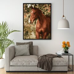 Glezna pēc numuriem, ierāmēta "Zirgs dārzā" Oh Art! 40x50 cm cena un informācija | Gleznas pēc numuriem | 220.lv