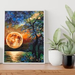 Glezna pēc numuriem, ierāmēta "Pilnmēness" Oh Art! 40x50 cm цена и информация | Живопись по номерам | 220.lv