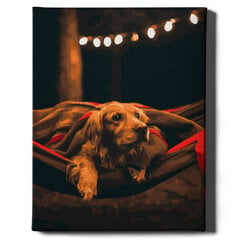 Картина по номерам "Собака в гамаке" Oh Art! 40x50 см цена и информация | Живопись по номерам | 220.lv